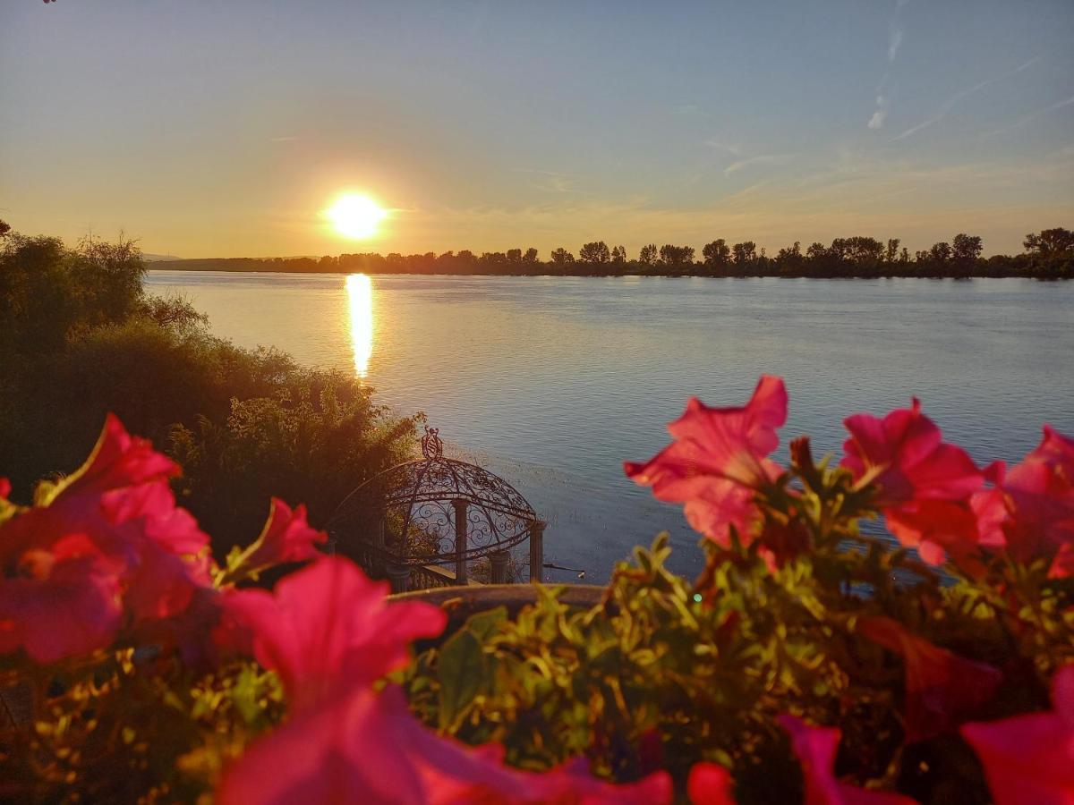 Vila Jugovo S Смедерево Екстериор снимка